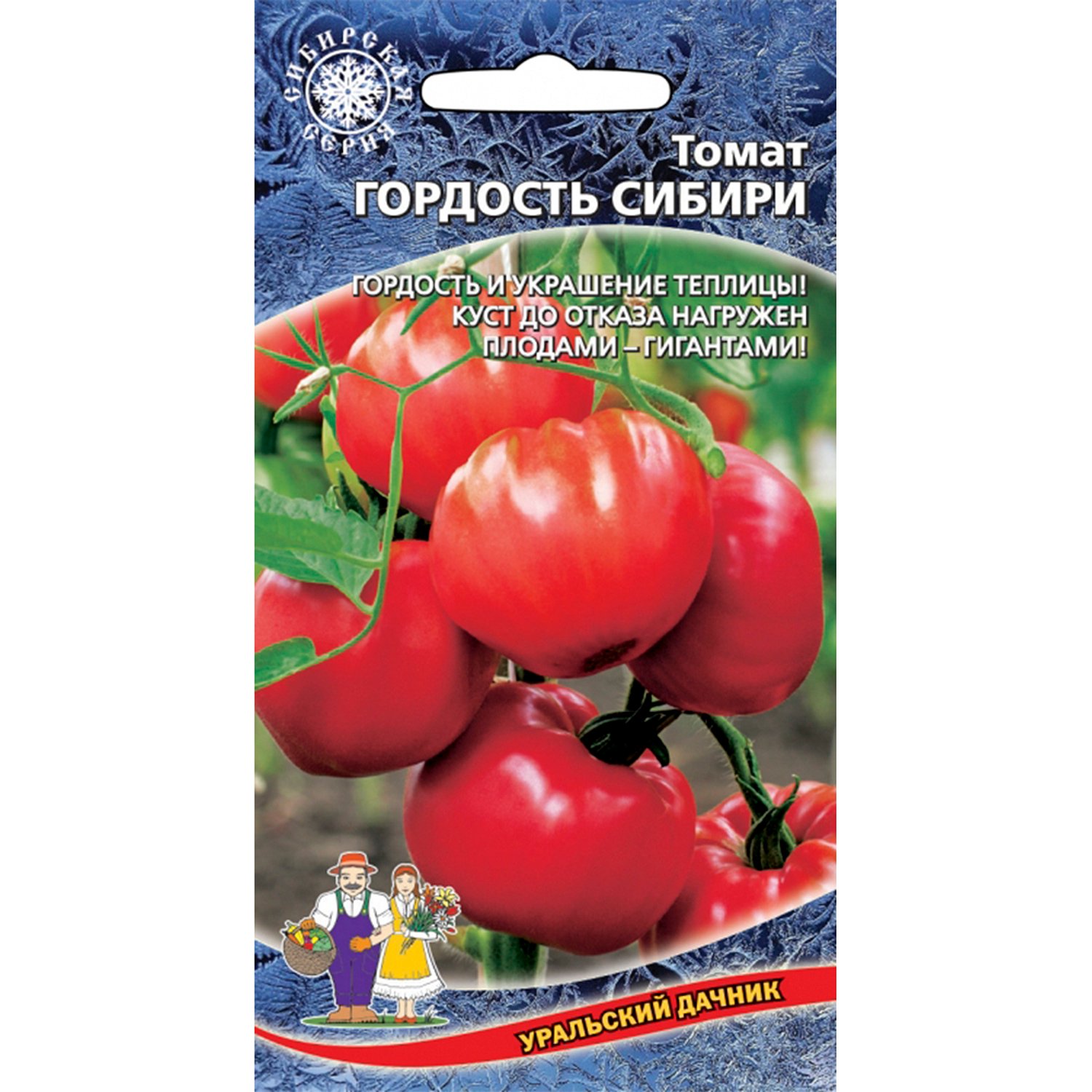 Семена томат гордость Сибири