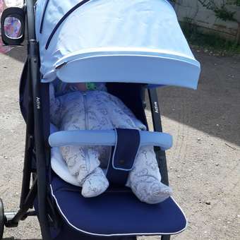 Коляска прогулочная Babyton Active Blue: отзыв пользователя ДетМир