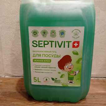 Гель для мытья посуды SEPTIVIT FRUTSY Нежное алое 5л: отзыв пользователя Детский Мир