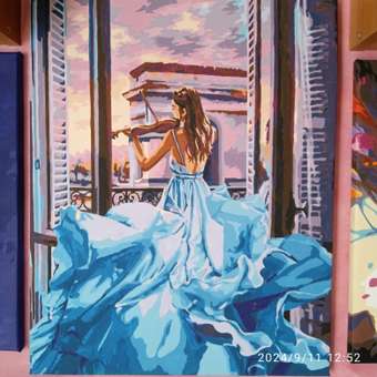 Картина по номерам Hobby Paint Мелодия души в ассортименте: отзыв пользователя Детский Мир
