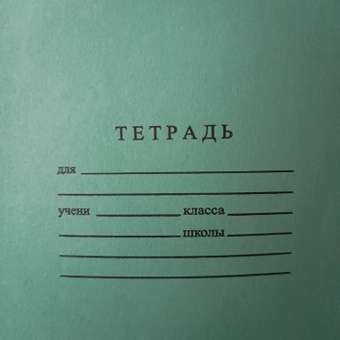 Тетрадь школьная Мировые тетради Косая линия 12л Зеленая: отзыв пользователя ДетМир