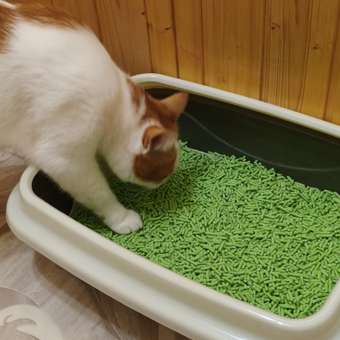 Наполнитель для кошек Cat Step Tofu Green Tea растительный комкующийся 6л: отзыв пользователя. Зоомагазин Зоозавр