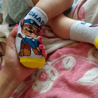 Носки 3 пары Paw Patrol: отзыв пользователя ДетМир