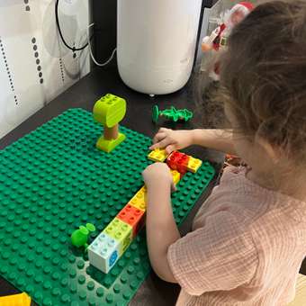 Конструктор LEGO DUPLO Пластина для строительства блочный: отзыв пользователя Детский Мир