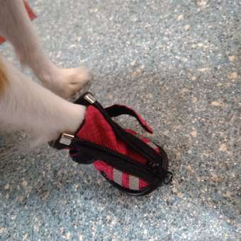 Ботинки для собак RUKKA PETS 1 Розовый (4шт): отзыв пользователя. Зоомагазин Зоозавр