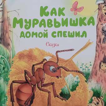 Книга МАХАОН Как муравьишка домой спешил Бианки В. В.: отзыв пользователя Детский Мир