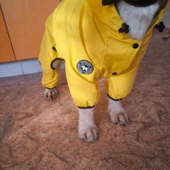Комбинезон- дождевик для собак Зоозавр: отзыв пользователя Детский Мир