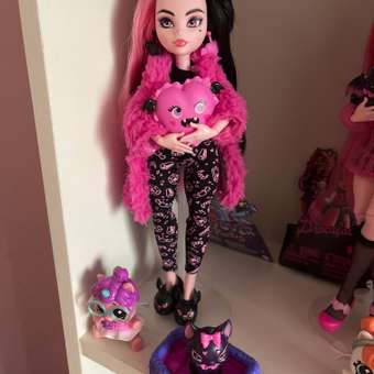 Кукла Monster High Creepover Party Draculaura HKY66: отзыв пользователя Детский Мир