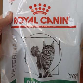 Корм для кошек ROYAL CANIN Diabetic при сахарном диабете 1.5кг: отзыв пользователя. Зоомагазин Зоозавр