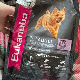 Корм Eukanuba Dog 800г для взрослых собак мелких пород сухой: отзыв пользователя. Зоомагазин Зоозавр