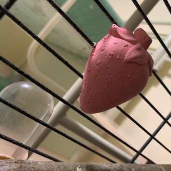 Камень минеральный для птиц Bambini Pets Клубничка: отзыв пользователя. Зоомагазин Зоозавр