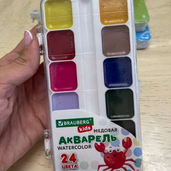 Краски акварель Brauberg 24 цв.: отзыв пользователя Детский Мир