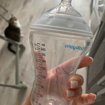 Бутылочка Babyono Natural 260 мл 1 шт. в ассортименте: отзыв пользователя Детский Мир