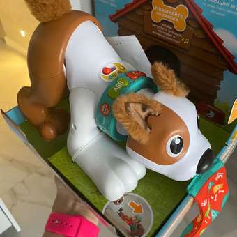 Игрушка Fisher Price Щенок Ползи со мной HHH95: отзыв пользователя Детский Мир