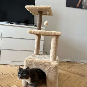 Домик для кошки с когтеточкой Pet БМФ Бежевый: отзыв пользователя Детский Мир