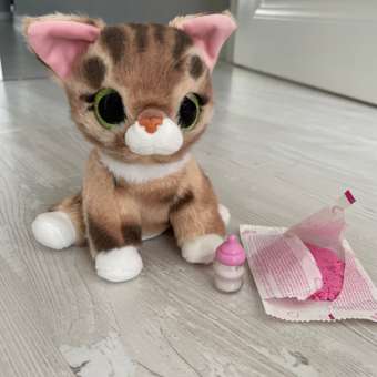 Игрушка Pets Alive Smitten Kittens Шар в непрозрачной упаковке (Сюрприз) 9541: отзыв пользователя Детский Мир
