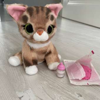 Игрушка мягкая Zuru Pets Alive котик Smitten Kittens: отзыв пользователя Детский Мир