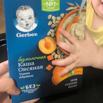 Каша безмолочная Gerber овсяная тыква-абрикос 180г с 5месяцев: отзыв пользователя Детский Мир