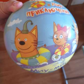 Мяч детский 23 см 1TOY Три кота резиновый надувной для ребенка: отзыв пользователя Детский Мир