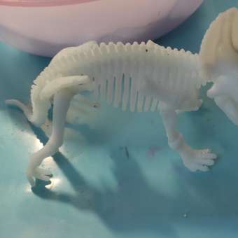 Набор археологический Clementoni Скелеты тираннозавра и трицератопса 50625: отзыв пользователя ДетМир