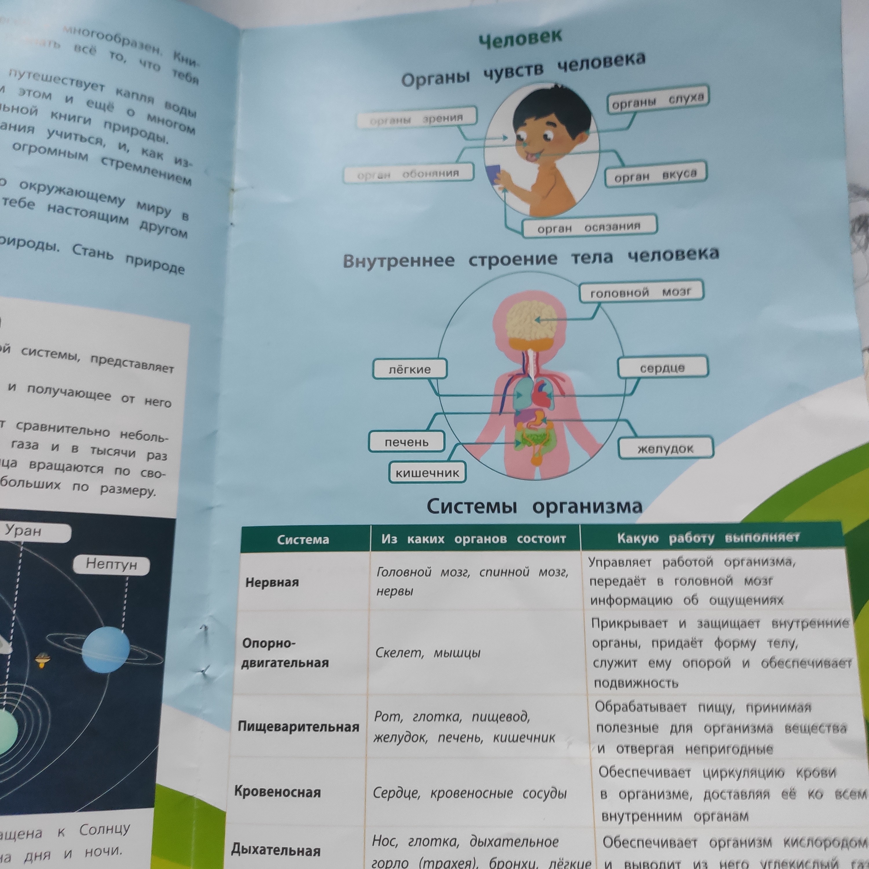 Это оказался 1 плакат 2-х сторонний. Для школы такой вариант возможен. Дома совсем неудобно. "Содержит весь материал с 1-4 класс" - это точно нет. Разочарована.