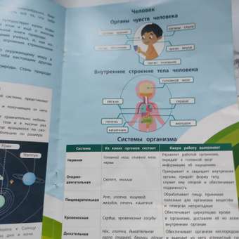 Плакат Феникс: отзыв пользователя Детский Мир