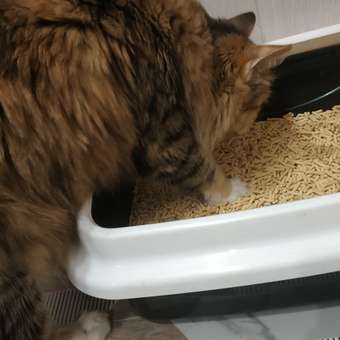 Наполнитель для кошек Toshiko Сакура комкующийся древесный 5л: отзыв пользователя. Зоомагазин Зоозавр