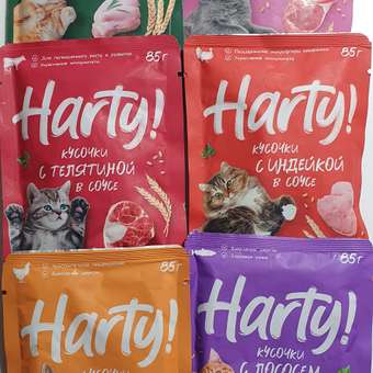 Корм для кошек Harty 85г стерилизованных кусочки с лососем в желе: отзыв пользователя. Зоомагазин Зоозавр