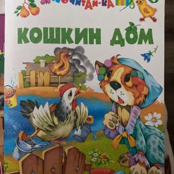 Книга Русич Кошкин дом: отзыв пользователя Детский Мир