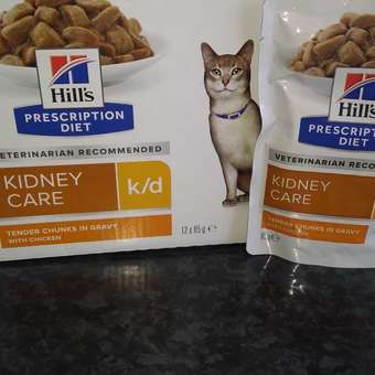 Корм для кошек HILLS 85г Prescription Diet k/d Kidney Care для здоровья почек с курицей пауч: отзыв пользователя. Зоомагазин Зоозавр