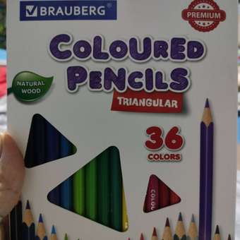 Карандаши цветные Brauberg трехгранные Premium 36 цветов: отзыв пользователя Детский Мир