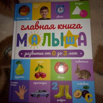 Книга Проф-Пресс развивающая Главная книга малыша от 0 до 3 лет. 128 стр: отзыв пользователя Детский Мир