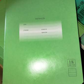 Тетрадь BG 18л Линия Зеленая обложка Т5ск18 60062: отзыв пользователя Детский Мир