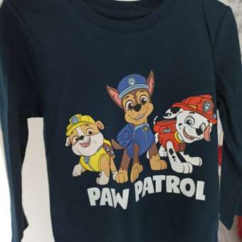 Лонгслив Paw Patrol: отзыв пользователя Детский Мир