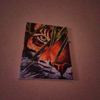 Картина по номерам Art on Canvas Тигриный глаз в ассортименте: отзыв пользователя Детский Мир