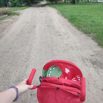 Коляска прогулочная Babyton Zoo Red: отзыв пользователя Детский Мир