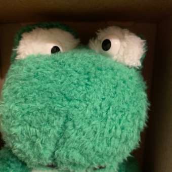 Мягкая игрушка UNAKY Лягушка Синдерелла в подарочной коробке: отзыв пользователя Детский Мир