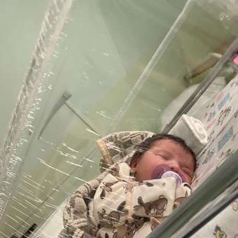 Пустышка Philips Avent силикон анатомическая от 0 мес. 2 шт.: отзыв пользователя ДетМир