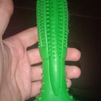 Зубная щетка для собак Keyprods зеленый: отзыв пользователя. Зоомагазин Зоозавр
