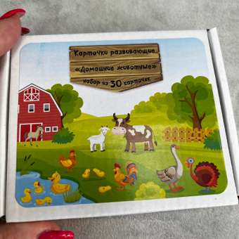 Развивающие обучающие карточки Крокуспак Домашние животные 30 шт - настольная игра для детей: отзыв пользователя Детский Мир