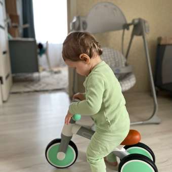 Беговел Hape First Ride светло-зеленый E0104_HP: отзыв пользователя Детский Мир