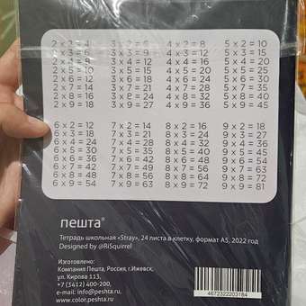 Тетрадь школьная Пешта Стрэй 24 листа А5 в клетку: отзыв пользователя Детский Мир