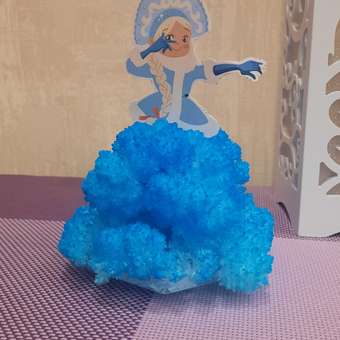 Набор для опытов Kiki растущие кристаллы Вырасти свою Снегурку: отзыв пользователя Детский Мир