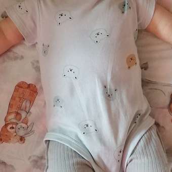 Боди Baby Gо: отзыв пользователя ДетМир