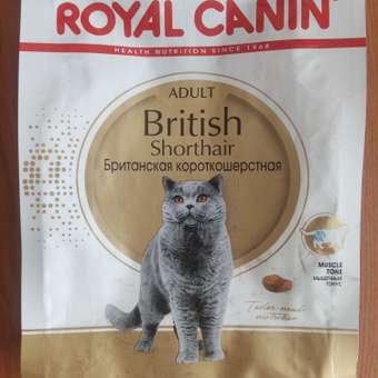Корм сухой для кошек ROYAL CANIN British Shorthair 400г британской короткошерстной породы: отзыв пользователя. Зоомагазин Зоозавр