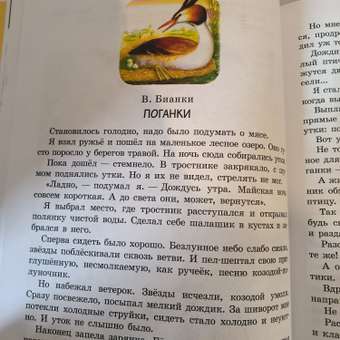 Книга 100рассказов для чтения дома и в детском саду: отзыв пользователя ДетМир