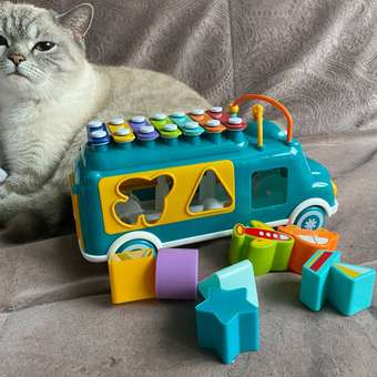 Развивающая игрушка MyMoon машинка-ксилофон: отзыв пользователя Детский Мир