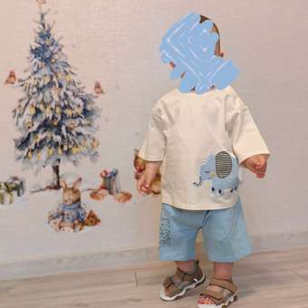 Комплект Baby Gо: отзыв пользователя Детский Мир