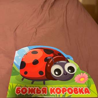 Книга Проф-Пресс картонная с глазками Божья коровка: отзыв пользователя Детский Мир