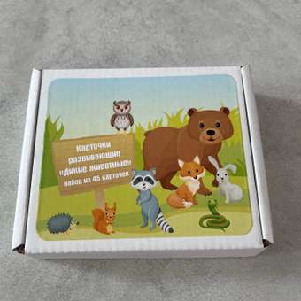 Развивающие обучающие карточки Крокуспак Дикие животные 45 шт - настольная игра для детей: отзыв пользователя Детский Мир